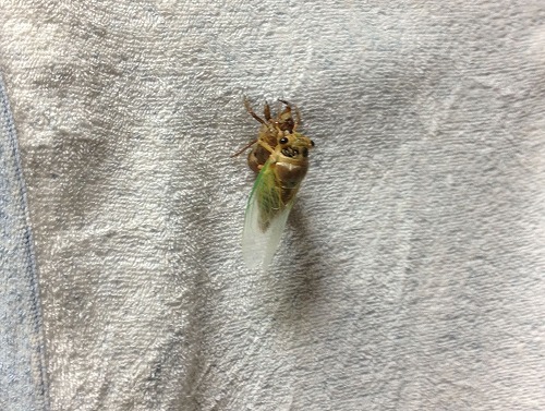 2012.7.23 003.jpg