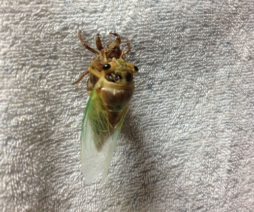 2012.7.23 006.jpg
