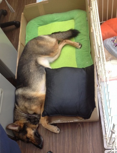 2012.7.23 009.jpg