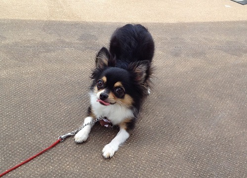 2012.7.25 028.jpg