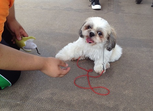 2012.7.25 055.jpg