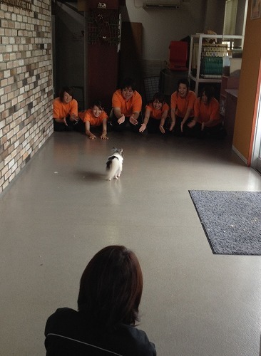 2012.7.25 061.jpg