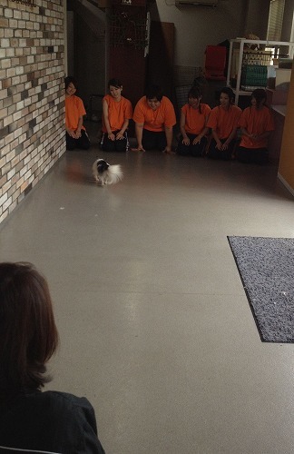 2012.7.25 068.jpg