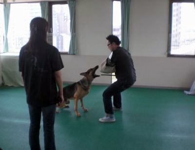 2012.7.28 272.jpg