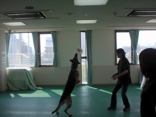 2012.7.28 302.jpg