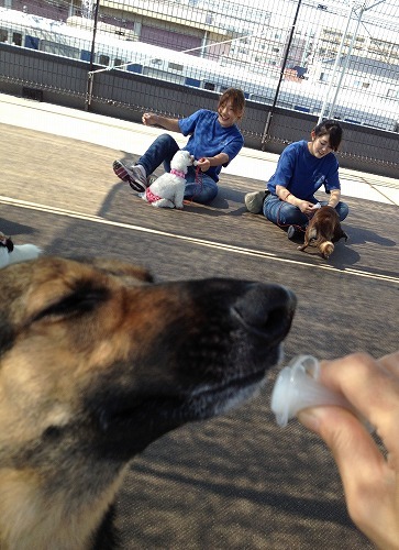 2012.7.31 101.jpg