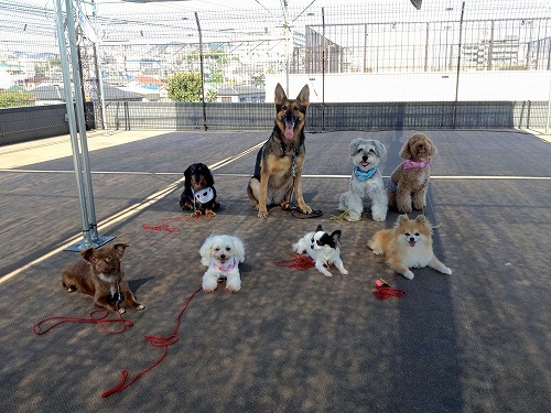 2012.7.31 112.jpg