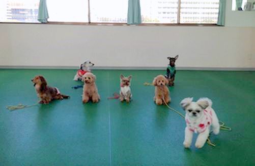 2012 2.27 044.jpg