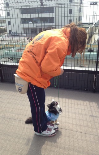 2013.2.26 035.jpg