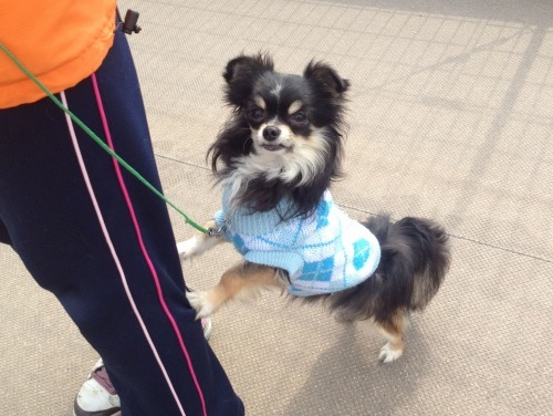 2013.2.26 046.jpg
