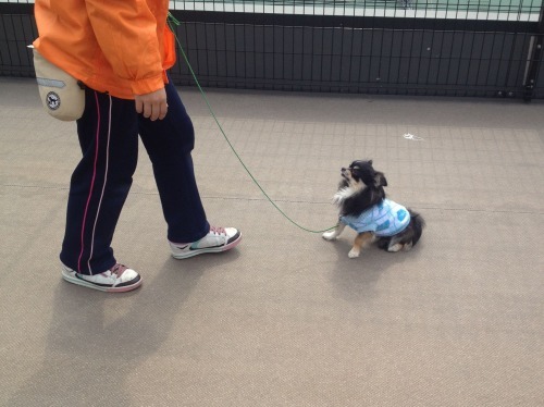2013.2.26 049.jpg