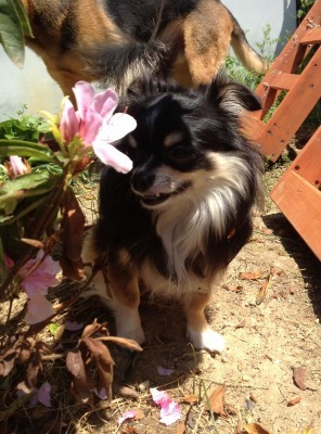 2013.4.27 018.jpg