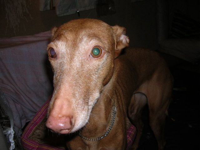 DSCN5096.jpg