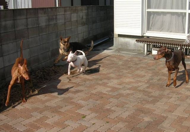 DSCN5279.jpg