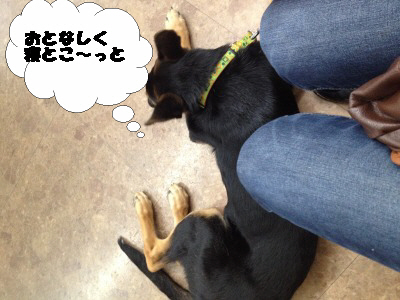 編集_IMG_1354.jpg