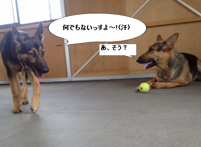 編集_IMG_1887.jpg