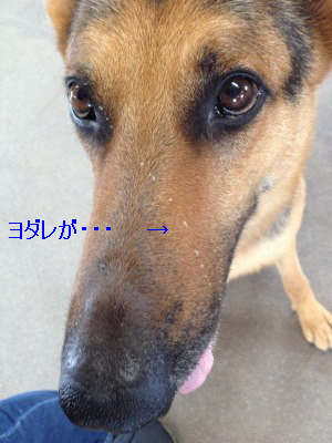 編集_IMG_1890.jpg