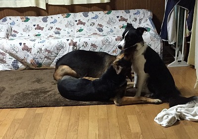 IMG_0622.jpg