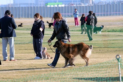 IMG_1037.jpg