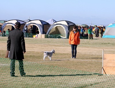 IMG_1100.jpg