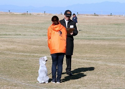 IMG_1147.jpg