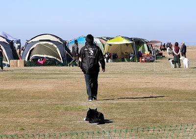 IMG_1267.jpg