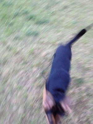IMG_1711.jpg