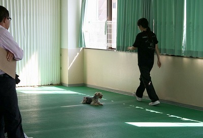 IMG_1725.jpg