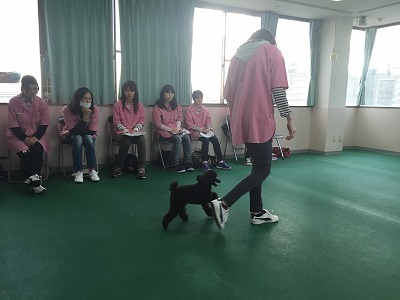 IMG_2041.jpg