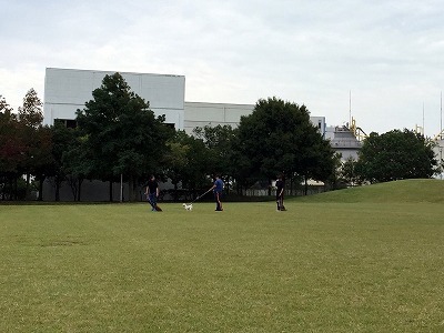IMG_2238.jpg