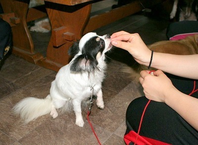 IMG_2639.jpg