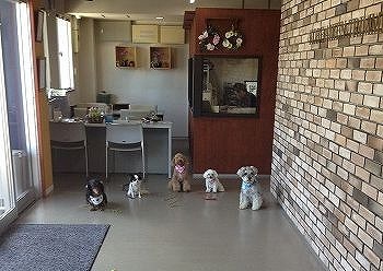 IMG_2674.jpg