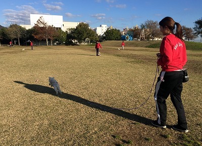 IMG_3201.jpg