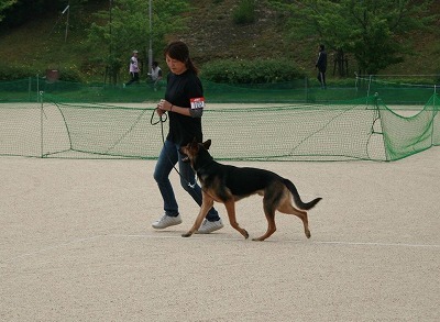 IMG_6837.jpg