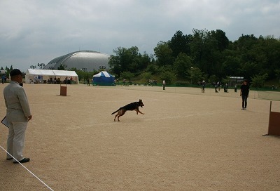 IMG_6844.jpg