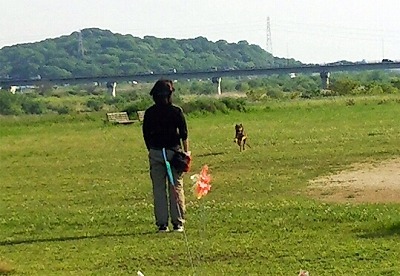 IMG_8830.jpg