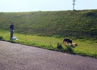 IMG_8832.jpg