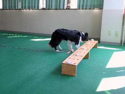 IMG_9589.jpg