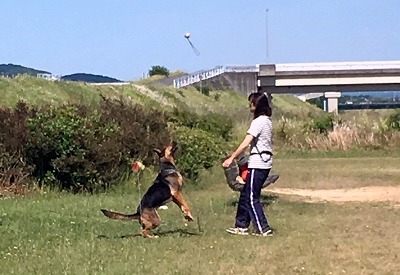IMG_9969.jpg