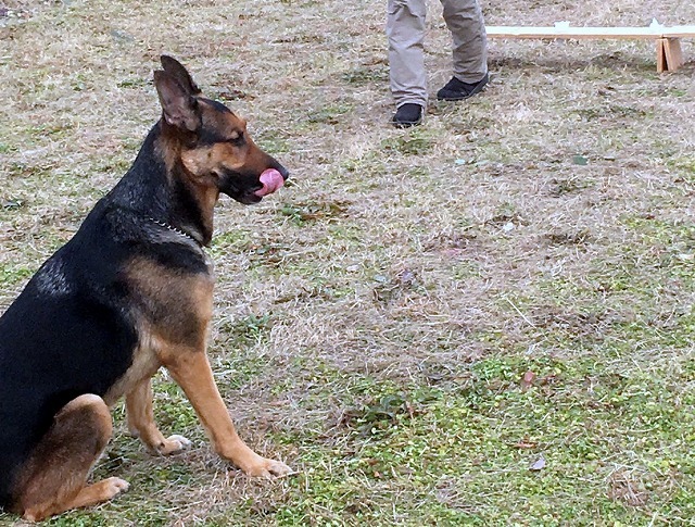 Image_ff8d098.jpg
