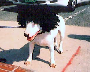 koyu-afuro1.jpg