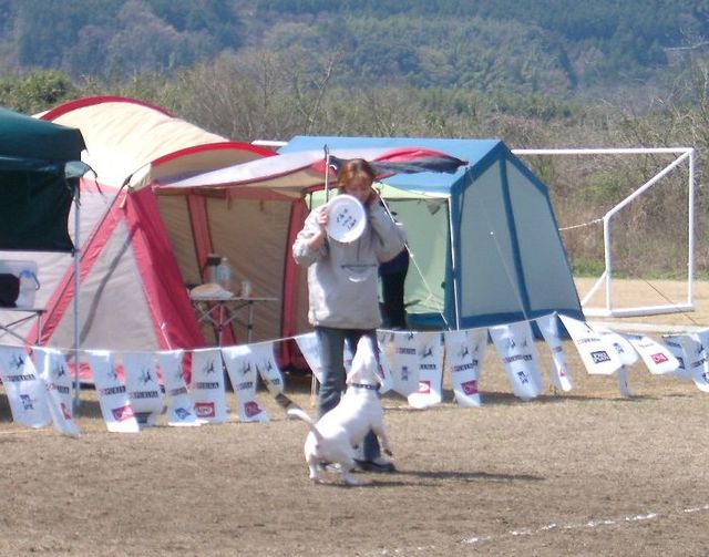 koyuIMGP3767.jpg