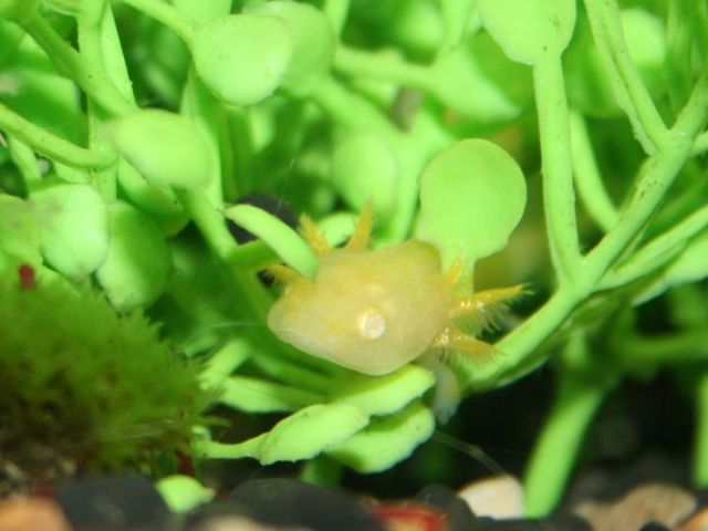 o0720054010184618069.jpg